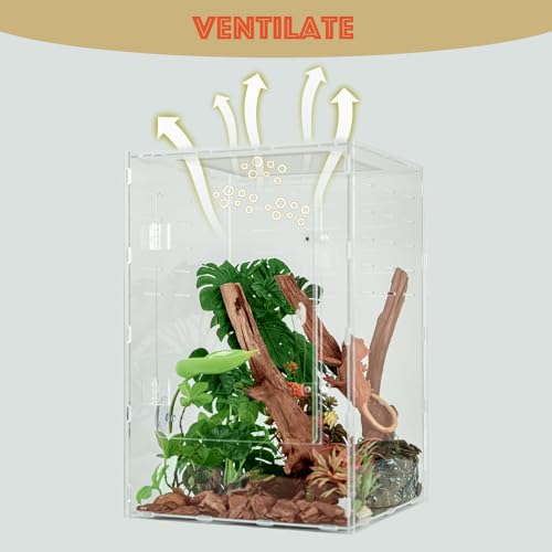 12x12x18 Acrylic Reptile Enclosure - 10 Gal Clear Terrarium | Full acrylic transparency at a larger size without the weight or fragility of glass - size: 12"12"18"