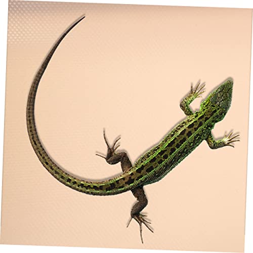 BESPORTBLE Cypress Mulch Reptile Bedding Alternative Comfortable Reptile Climbing Decor Eva Material Substrate