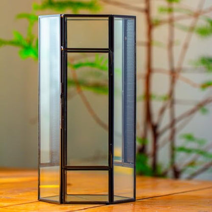 NCYP Small Glass Enclosure Terrarium with Mesh and Door for Spiders - Hexagon Shape Small Mantis Vented Glass Terrarium 4.9'' x 4.3'' x 9.4'', Tabletop Decor, Black (Plants Not Include)