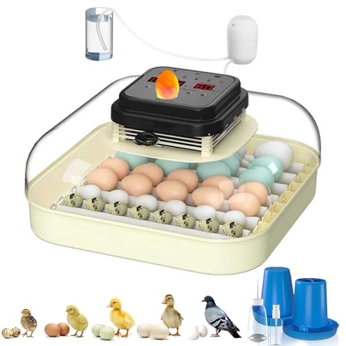 35 Chicken Egg Incubator, Quail Incubator with Humidity Control | Incubator for Hatching Eggs, Automatic Egg Turning, Egg Candler, Humidity Display, incubadora de huevos de gallina