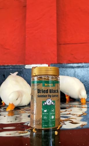 BeyondFeed™ Dried Black Soldier Fly Larvae - Nutrient-Rich, Sustainable Feed for Chickens, Ducks, Birds, Reptiles, Fish, Hamster, Turtles and More (1 Bottle (35g/ 1.23oz)) - size: 11 Ounce (Pack of 1)