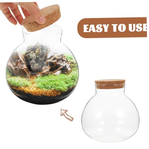 KALLORY Glass Ecological Bottle Terrarium with Cork Stopper, 10X11Cm Micro Landscape Moss Plant Container for Indoor Gardening and Decorative Ecosystem