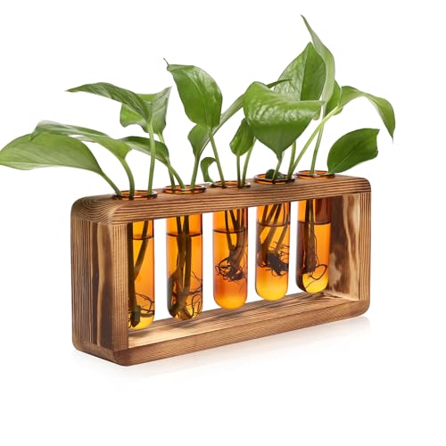 Glass Plant Propagation Station with 5 Test Tubes Colorful Planter Vase | Birthday Gifts for Women in Wooden Stand - color: Amber