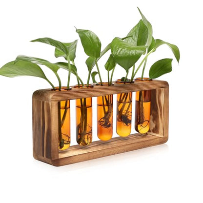 Glass Plant Propagation Station with 5 Test Tubes Colorful Planter Vase | Birthday Gifts for Women in Wooden Stand - color: Amber