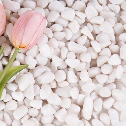 2.2 lbs White Gravel, 1/2 Inch Garden Pebbles, Decorative Rocks for Potted Plants,Small Rocks for Plants, Vases, Cactus Potted Plants, Fish Tanks - color: White, size: 1/2 Inch 2.2 LB