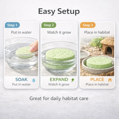 Green Sponge Accessories for Hermit Crab Habitat, Moisture Supply for Maintaining Tank Humidity, 10PCS