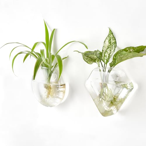 Mkono Wall Propagation Planters Hanging Glass Plant Vase Holder, 3 Pack | Three Shapes Terrariums Station,for Indoor Hydroponic Plants Flowers,Easy to Install,Home Bathroom Decor, Plant Lover Gift