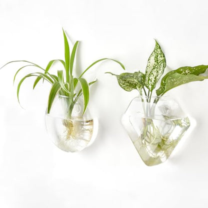Mkono Wall Propagation Planters Hanging Glass Plant Vase Holder, 3 Pack | Three Shapes Terrariums Station,for Indoor Hydroponic Plants Flowers,Easy to Install,Home Bathroom Decor, Plant Lover Gift