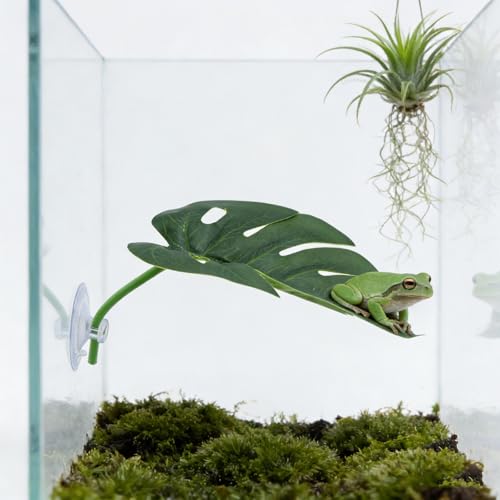 3 Pack Frog Basking Platforms - Realistic Leaf Perch with Suction Cups, Terrarium Decor & Habitat Accessories for Tree Frogs, African Dwarf Frogs & Toads