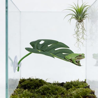 3 Pack Frog Basking Platforms - Realistic Leaf Perch with Suction Cups, Terrarium Decor & Habitat Accessories for Tree Frogs, African Dwarf Frogs & Toads