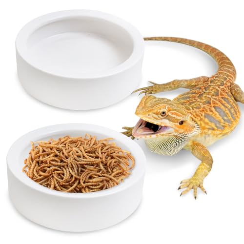 Tfwadmx 2 Pack Reptile Food Bowl, Ceramic Water Feeder Bowl, Reptile Worm Feeding Dish for Lizard Turtle Bearded Dragon Anoles Crested Gecko Hermit Crab Leopard Gecko Chameleon Corn Snake - size: 2 Pcs 3.9 '' x 1.1 ''