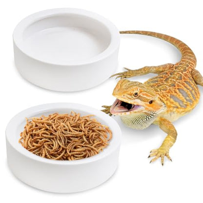 Tfwadmx 2 Pack Reptile Food Bowl, Ceramic Water Feeder Bowl, Reptile Worm Feeding Dish for Lizard Turtle Bearded Dragon Anoles Crested Gecko Hermit Crab Leopard Gecko Chameleon Corn Snake - size: 2 Pcs 3.9 '' x 1.1 ''