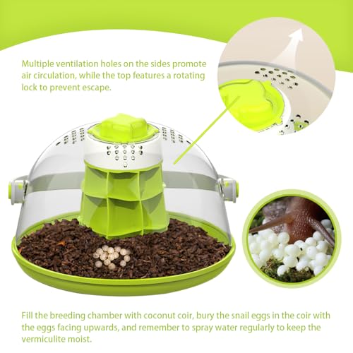 Snail Habitat Terrarium, Round Snail Enclosure with Feeding Design | Large Viewing Area, 360° Observation, Removable Base, Snail Habitat, Spider Enclosure & Small Reptile Habitat