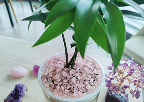 ZHIYUXI Rose Quartz Chips Fish Tank Gravel Vase Filler Stones Bulk Crushed Crystals Gemstone Polished Natural Quartz Stone Healing Crystals Glass Stones Fish Rocks - color: D# Rose Quartz, size: 0.22lbs