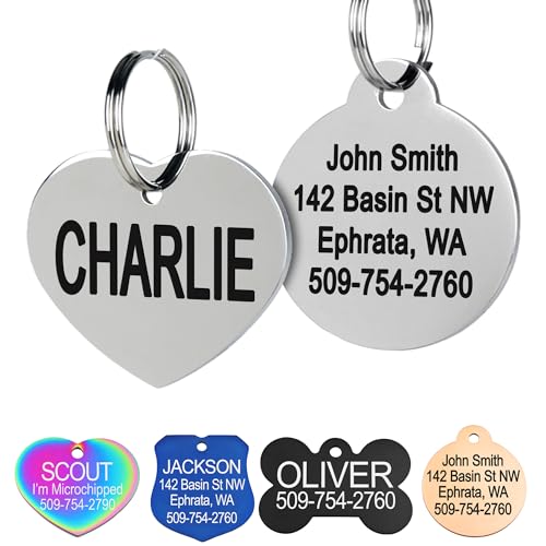 GoTags Stainless Steel Pet ID Tags, Personalized Dog Tags and Cat Tags | up to 8 Lines of Custom Text, Engraved on Both Sides, in Bone, Round, Heart, Bowtie and More (Heart, Small (Pack of 1)) - size: Small (Pack of 1), style: Heart