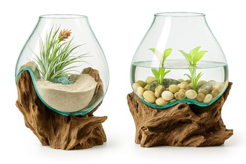 OMA Hand Blown Molten Glass on Driftwood Terrarium Vase or Planter – Recycled Glass & Natural Wood for Coastal & Boho Home Décor (12"–14" High) - size: 12" - 14" High