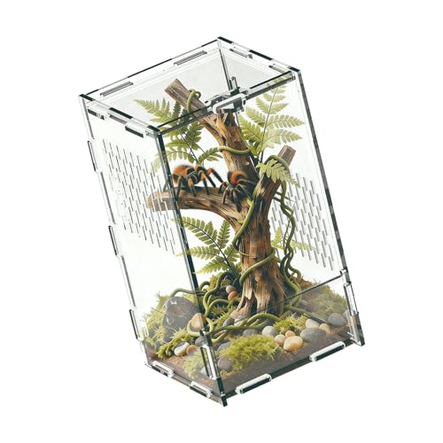 Transparency Reptiles Container Box Terrarium with Front Opening Door Breeding Box for Home Travel Amphibian Display Small Pet Habitat Cage