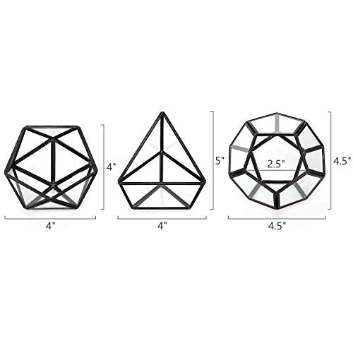 Mkono 3 Pack Geometric Glass Terrarium, 4" Black Air Plant Holder Tabletop | Modern Centerpiece Decor, 3 Shapes Metal Frame, Fits Succulent Moss Fairy Garden Shelf Coffee Table, Plants Not Included - color: Black