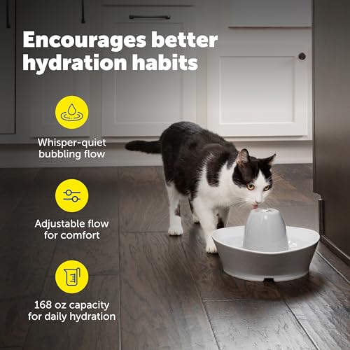PetSafe Creekside Ceramic Pet Fountain, 60 Oz, Extra Filters | 60 Oz Capacity, Whisper-Quiet Flow, Includes 12 Extra Carbon & 2 Extra Foam Filters, Dishwasher Safe, Cats & Small Dogs - style: Fountain + 12 Carbon Filters + 2 Foam Filters