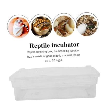 UPKOCH 20grids Practical Hatching Box for Reptile Eggs Design for Easy Monitoring Incubator for Snakes Lizards and Turtles Lightweight and Easy to Clean