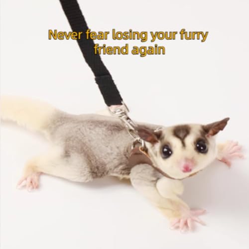 MANON ROSA Sugar Glider Pouch & Harness Set, Bonding Sling for Travel, Blue | Designed For Sugar Gliders, Secure Bonding Pouch For Bonding, Escape-Proof Harness, Breathable Fabric, Adjustable Shoulder St - color: 02 Blue Set