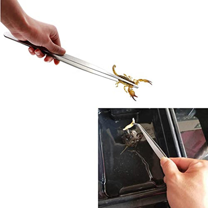 3in1 Feeding Tool Reptile Feeding Tongs Cricket Clamp Bug Scooper, Cleaning Supplies Scooper+ 2x Tweezers for Reptile, Hedgehog, Hamsters, Guinea Pig,Lizard, Spider Bearded Dragon (Green) - color: Green