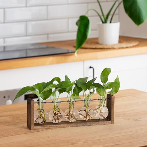 YIBOT Wall Hanging Glass Planter Plant Propagation Vase-5 Bulb Glass Vases | Plant Terrarium with Wooden Stand,Indoor Home Office Living Room Decor Gifts - size: 5Bulb-M