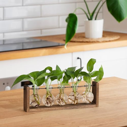 YIBOT Wall Hanging Glass Planter Plant Propagation Vase-5 Bulb Glass Vases | Plant Terrarium with Wooden Stand,Indoor Home Office Living Room Decor Gifts - size: 5Bulb-M