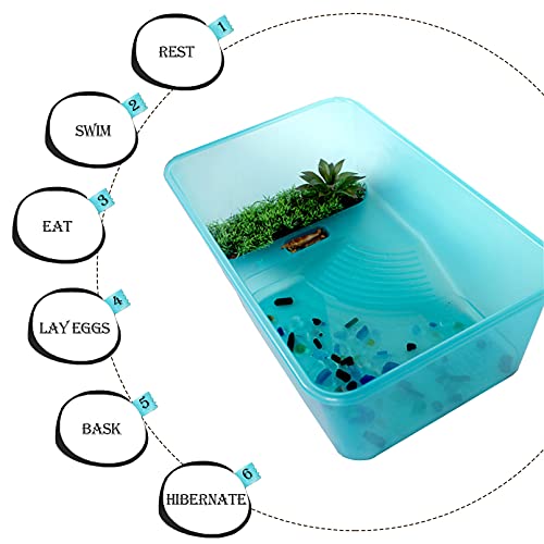 kathson Turtle Tank Aquarium, Turtle Habitat Reptile Plastic Terrarium Safe Durable, Tortoise Tank with Lid Prevent from Climbing Escaping (Small) - size: Small - 13x9.2x5.5 Inch