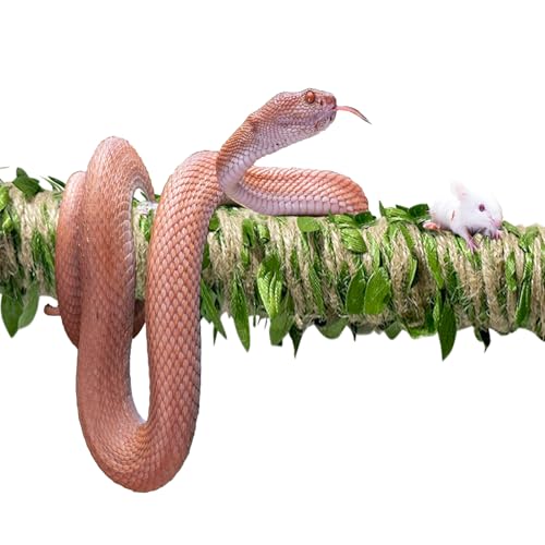 Snake Climbing Stick is Suitable for Ball Python Lizard Tarantula Snake Hermit Crab Leopard Gecko Tree Frog Climber Accessory Terrarium Habitat Decoration (L(26.3inch-43.7inch))