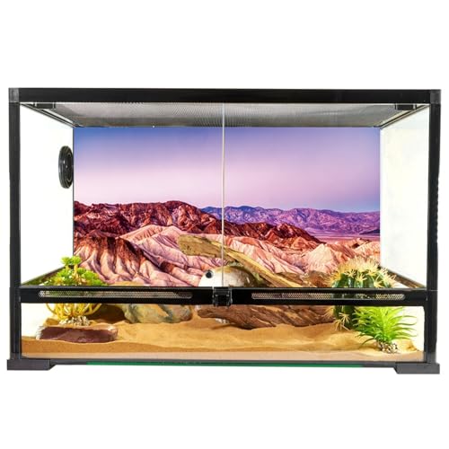 YongFoto Reptile Terrarium Background - 24x16 inch Desert Rocky Bush Thorns Western Wilderness Habitat Backdrop - color: Purple, size: 24 x 16 in
