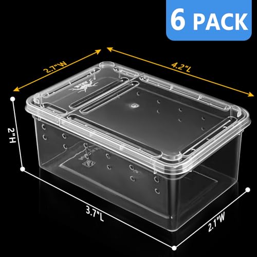 Small Jumping Spider Enclosure - 6 Pack Spider Terrariums, Breeding Box, Transparent Hatching Container, Plastic Feeding Box - 6 Pcs Super Mini