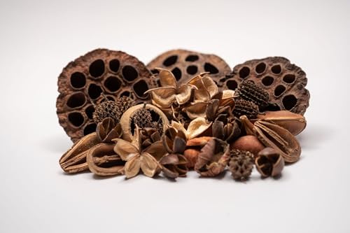 Seed Pod Aquarium Decor Botanical for Shrimp Hides and Breeding, Water Conditioner Betta Fish Botanicals, Isopods, Reptile Terrarium Decor. Dart Frog Vivarium, Lotus Pods