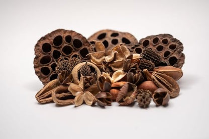 Seed Pod Aquarium Decor Botanical for Shrimp Hides and Breeding, Water Conditioner Betta Fish Botanicals, Isopods, Reptile Terrarium Decor. Dart Frog Vivarium, Lotus Pods