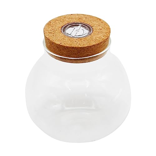 Round Glass with Remote Control LED Lights - for Terrariums, Moss Ball Vases & Home Decor, for DIY Party Mason Jars Crafts Christmas Decoration (S)