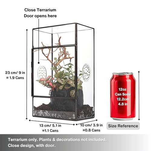 NCYP Glass Enclosure for Large Jumping Spider - 5.1" x 3.9" x 9" Front Opening Door Glass Terrarium with 3 Vent Holes, Small Snail, Insects Habitat, Black (Terrarium Only)