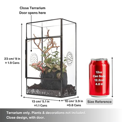 NCYP Glass Enclosure for Large Jumping Spider - 5.1" x 3.9" x 9" Front Opening Door Glass Terrarium with 3 Vent Holes, Small Snail, Insects Habitat, Black (Terrarium Only)