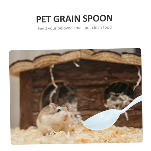 Toddmomy 10Pcs Pet Food Spoon Lightweight Household Scoop for Reptiles Hamsters Animals Easy to Carry Durable Material Present for Pet Owners
