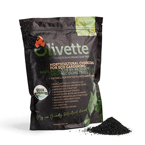 OLIVETTE Organic Biochar Activated Charcoal for Plants, 1 Bag | USDA Horticultural Charcoal, Moisture Control For Terrariums & Potted Plants, Biochar Soil Additive For Gardening - size: 1 Bag