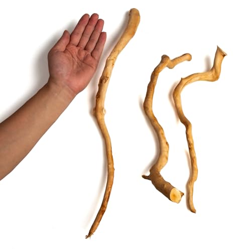 Natural Aquarium Driftwood, [170g] ( 20–40 cm /8–16 in) - Unique Root/Spider Wood Branches for Aquascaping, Planted Tanks & Terrariums, Fish & Plants Decoration Each Piece One-of-a-Kind(Branches Only) - style: Branches Only