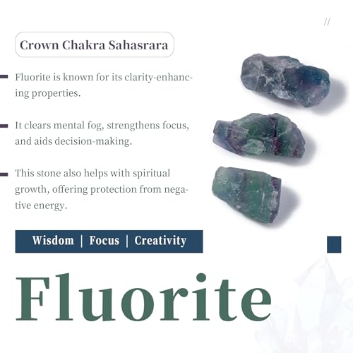 SUNYIK 1LB Natural Raw Fluorite Stones Rock for Tumbling Cabbing | Irregular Healing Crystal Rock Stones for Aquarium, Terrarium Fish Tank, Fountain Rocks, Jewelry Making, Rock Collections - color: Fluorite(0.8"-1.5")