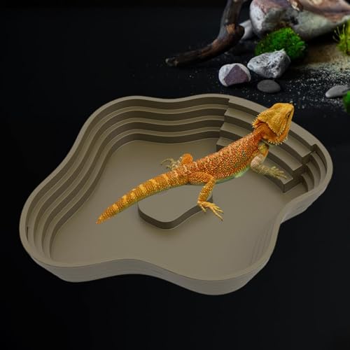 Reptile Bathing Pool Tortoise Water Dish Lizards Habitat Turtle Bath for Gecko Tortoise, Green S - color: Green S