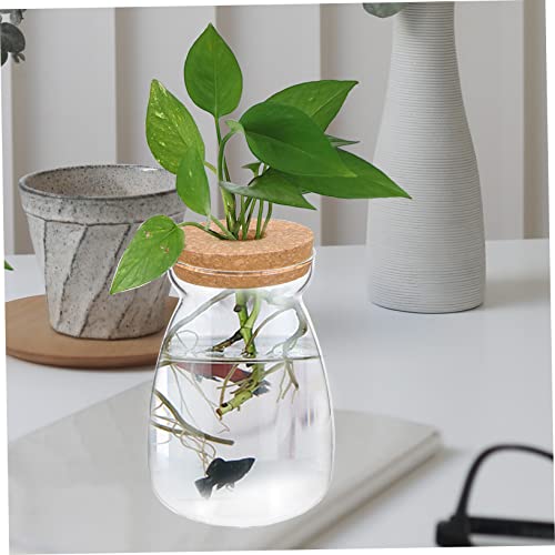 Glass Propagation Jar for Micro Landscape Display and Stable Holding | Viewing, Wood and Glass Build, Living Room Study Placement, Aquarium Gravel or Embellishment Use
