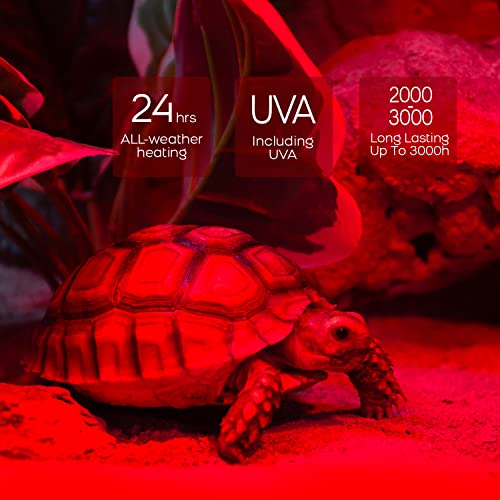 WACOOL 2 Pack Reptile Heat Lamp Bulbs,100W Infrared Basking Spot Light for Reptiles & Amphibians, Red Heat Lamp Bulb for Bearded Dragon Gecko Turtle Lizard - style: 100W-2 PACK