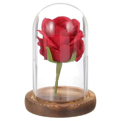 uxcell Glass Cloche Display Dome, 4.7" x 2.7" Glass Dome Display Case, Wood - size: 4.7" x 2.7"