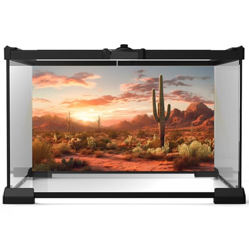 Desert Reptile Habitat Backdrop Sunset Desert Landscape Saguaro Cactus Gobi Plants Terrarium Background Sunset Sky Rugged Terrain Desert Colors Jungle Landscape Tank Backdrop Vinyl 24x12in - color: Desert Khaki, size: 24(W)x12(H)inches/ 60(W)*30cm(H)