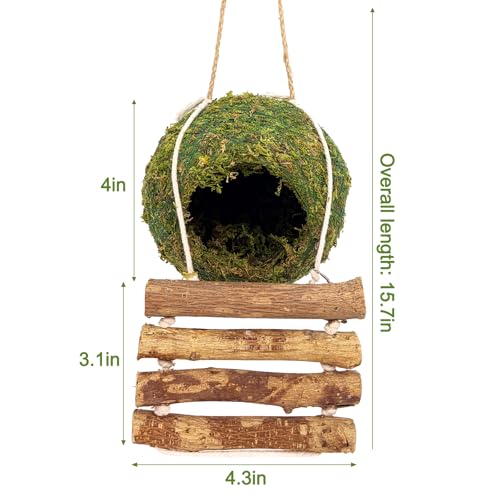 Handmade Moss Reptile Hanging Nest 4 Pcs Set, Small 4″ x 4″ | Gecko Hideout with Ladder, Terrarium Decor for Crested Gecko, Leopard Gecko, Lizard, Small Reptiles & Amphibians - size: Small 4″ x 4″