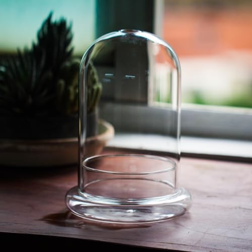 NCYP Glass Dome Cloche with Base and Air Hole - 5.9 x 5.9 x 8.2 Inches Indoor Tabletop Display Terrarium for Venus Flytrap - Home Modern Decoration, Clear (No Plants)