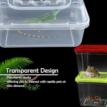 1 Pack Clear Portable Insect Reptile Terrarium Tank with Handle for Spider Snail Turtle Hermit Crab Gecko Insects Small Reptiles (with 10 Pack Small Plastic Reptile Carrier)