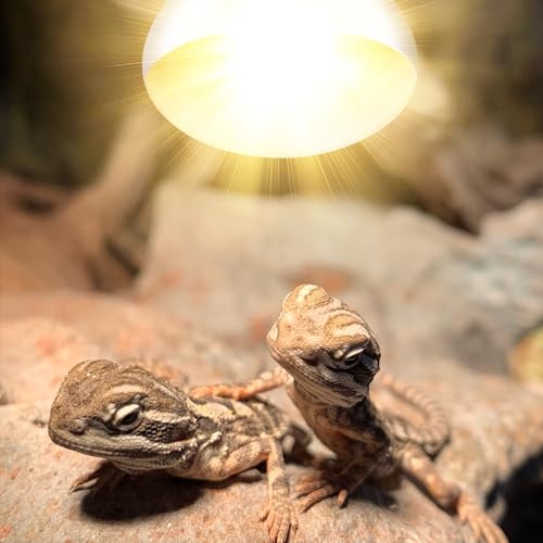 160W Reptile Heat Lamp Bulb Full Spectrum UVA UVB Sun Lamp | Basking Light for Bearded Dragon, Mercury Vapor Bulb for Reptiles and Amphibians - size: 160W